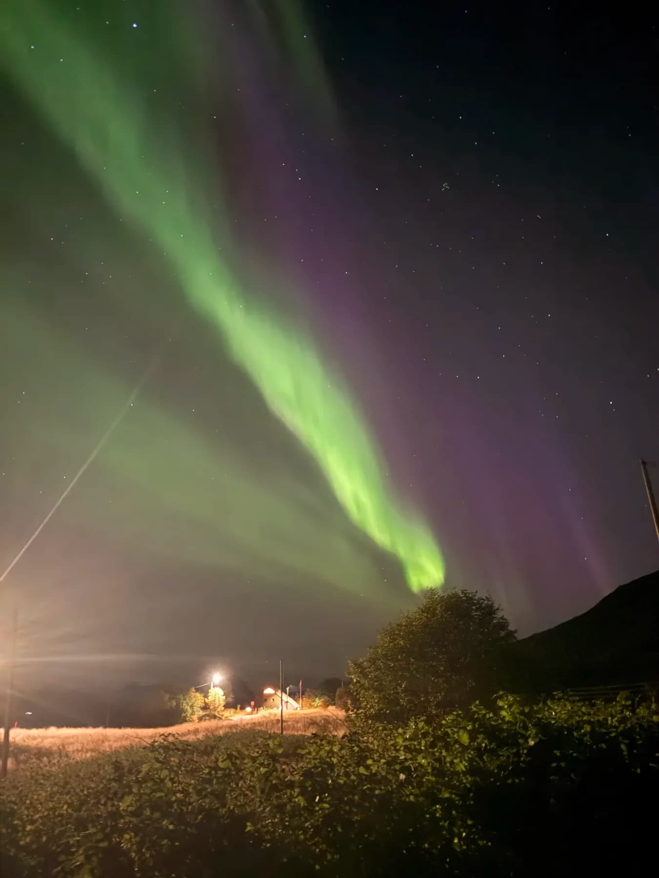 Aurora over the coast