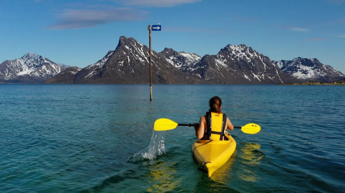 Skogsøya