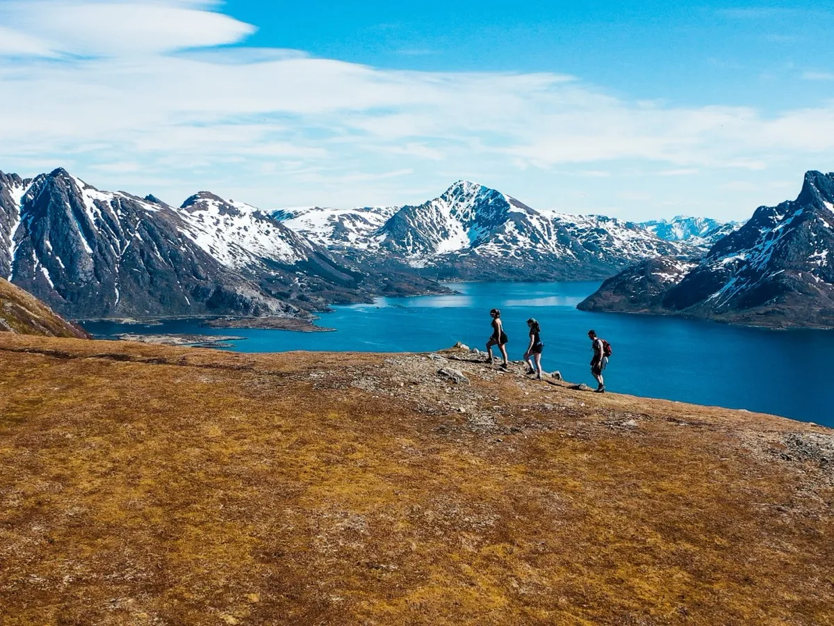 Skogsøya utsikt
